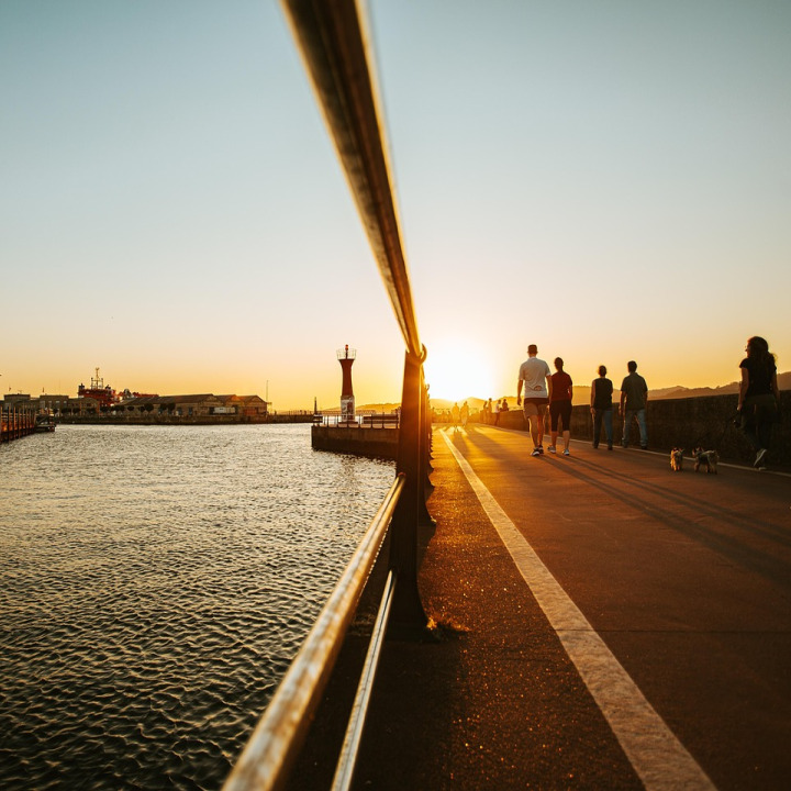 container port cranes ship